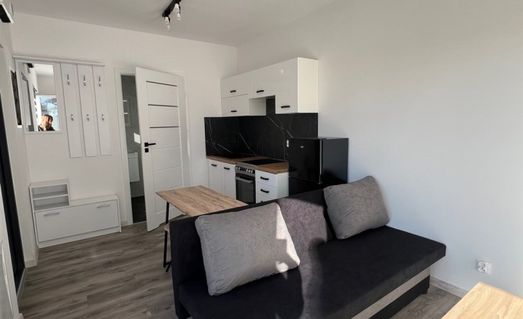 mieszkanie na wynajem - Rybnik, Śródmieście