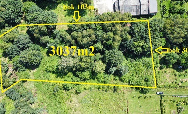 działka na sprzedaż - Radlin, Głożyny