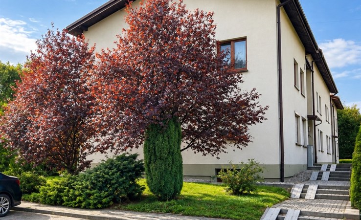 mieszkanie na wynajem - Rybnik, Śródmieście